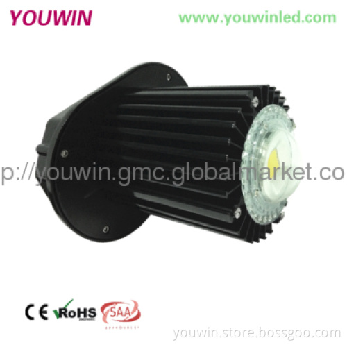 30~150Watt LED Pendant Lamp For Factory CE RoHS
